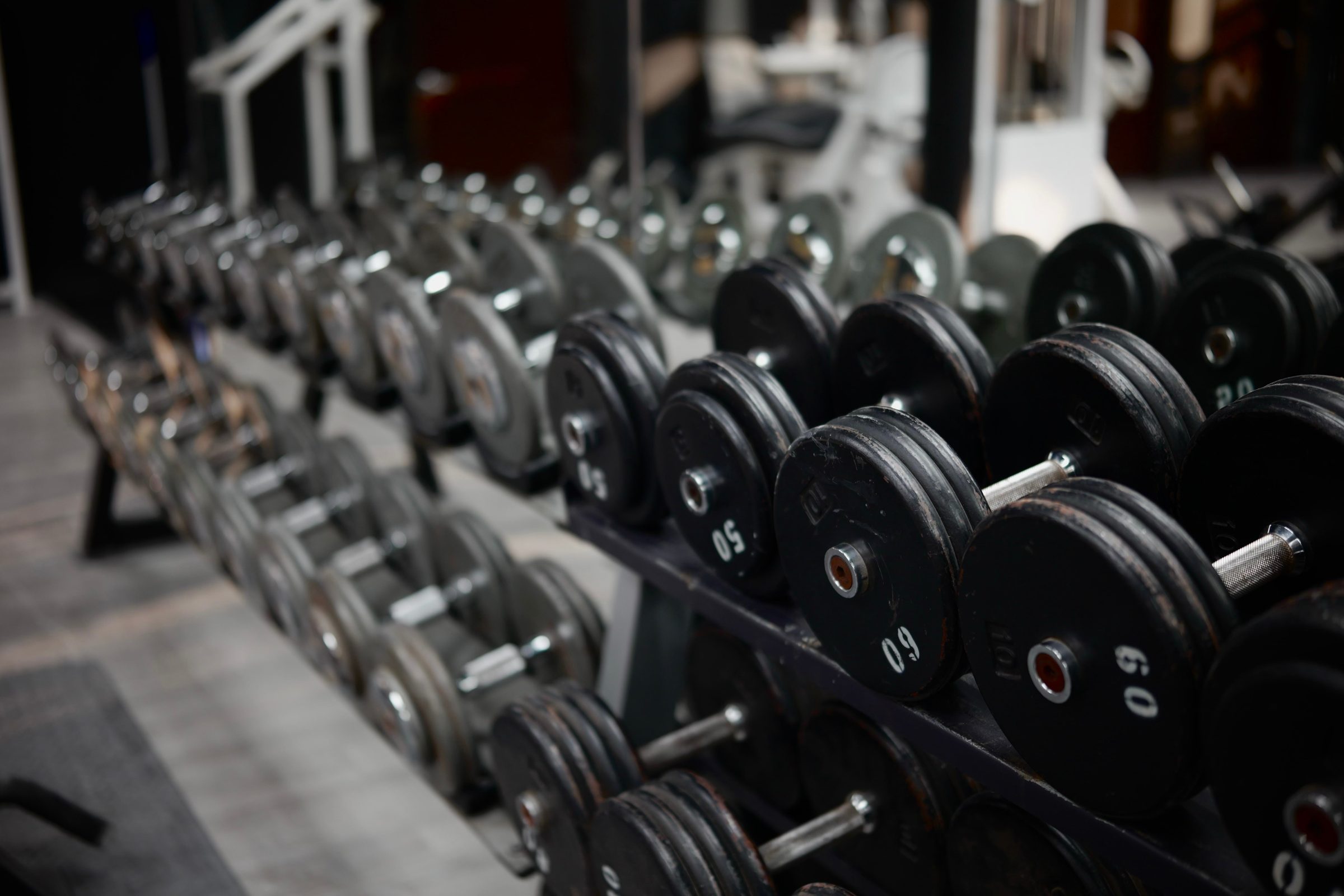 A long rack of heavy rubber dumbbells