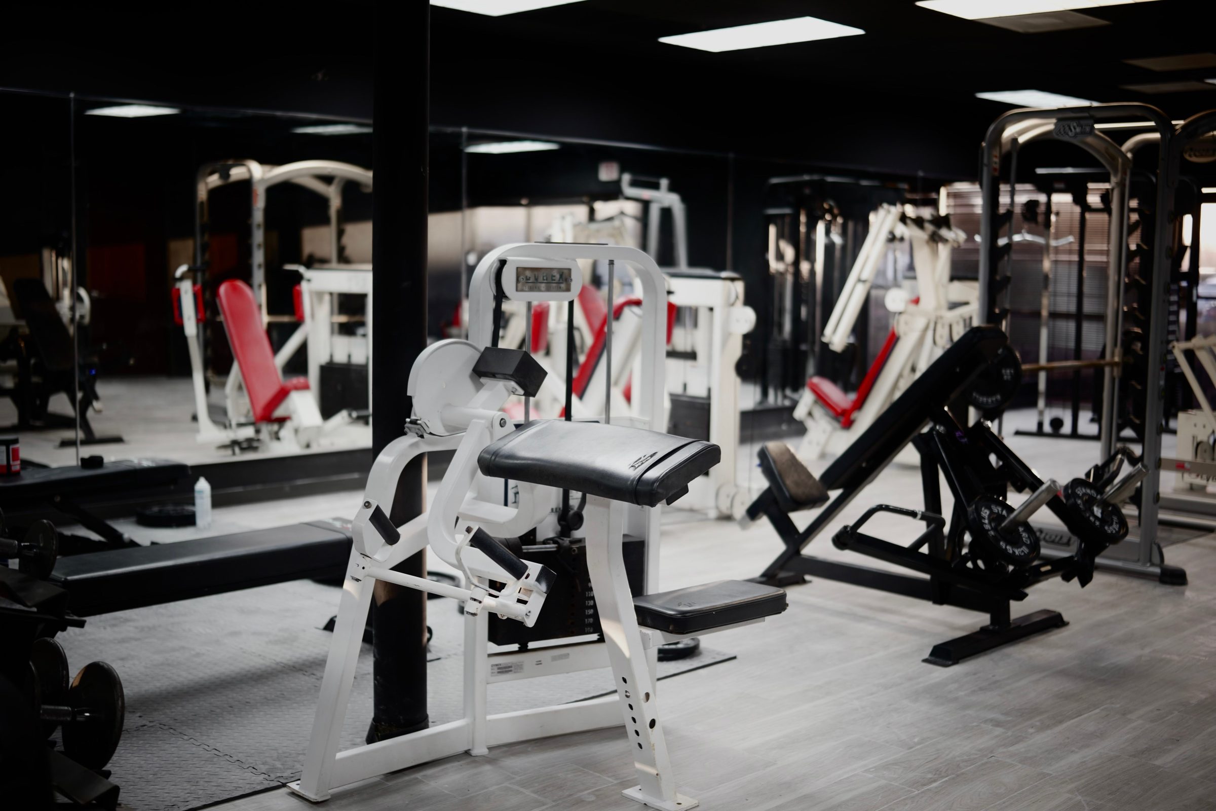 A white arm-curl machine in front of plate-loaded machines and mirrors